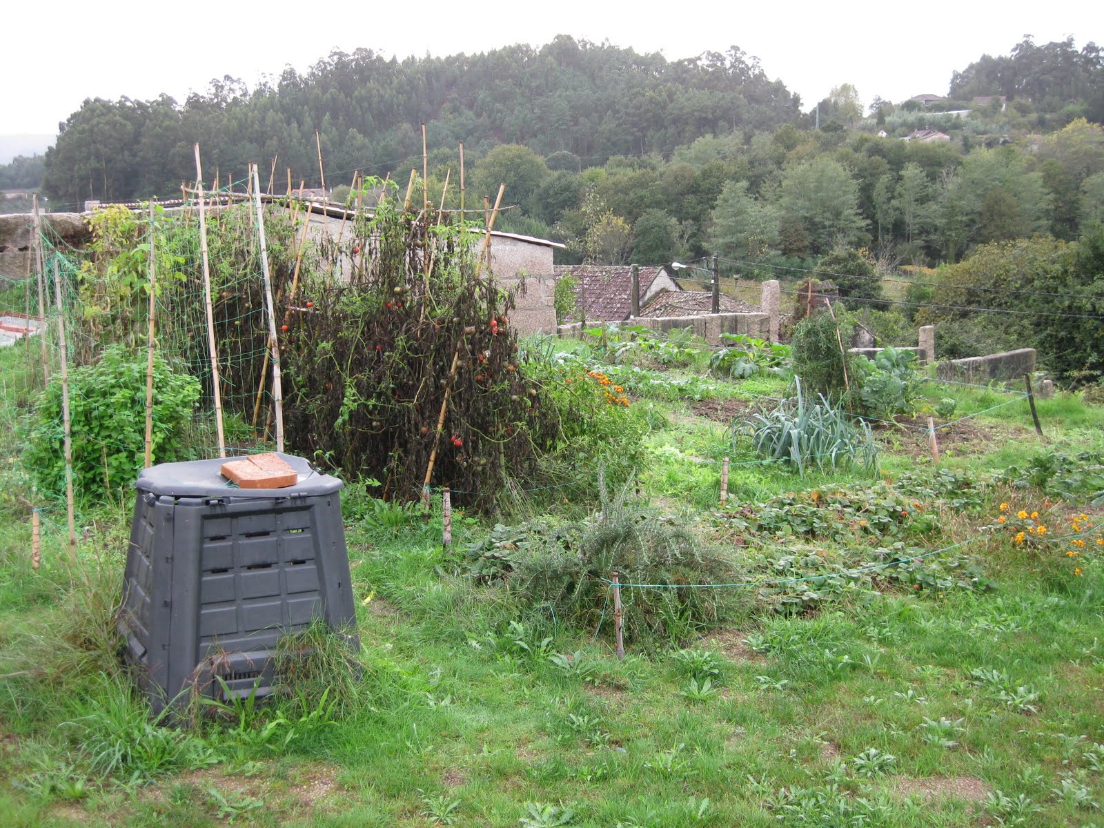 [20091105+026.jpg]