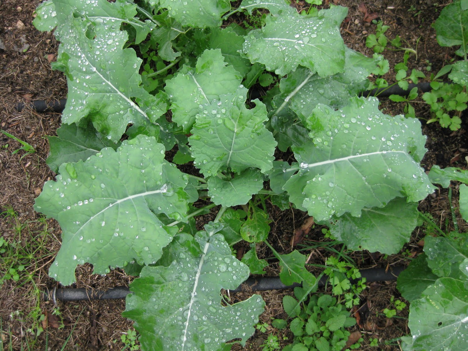 [20091105+037.jpg]
