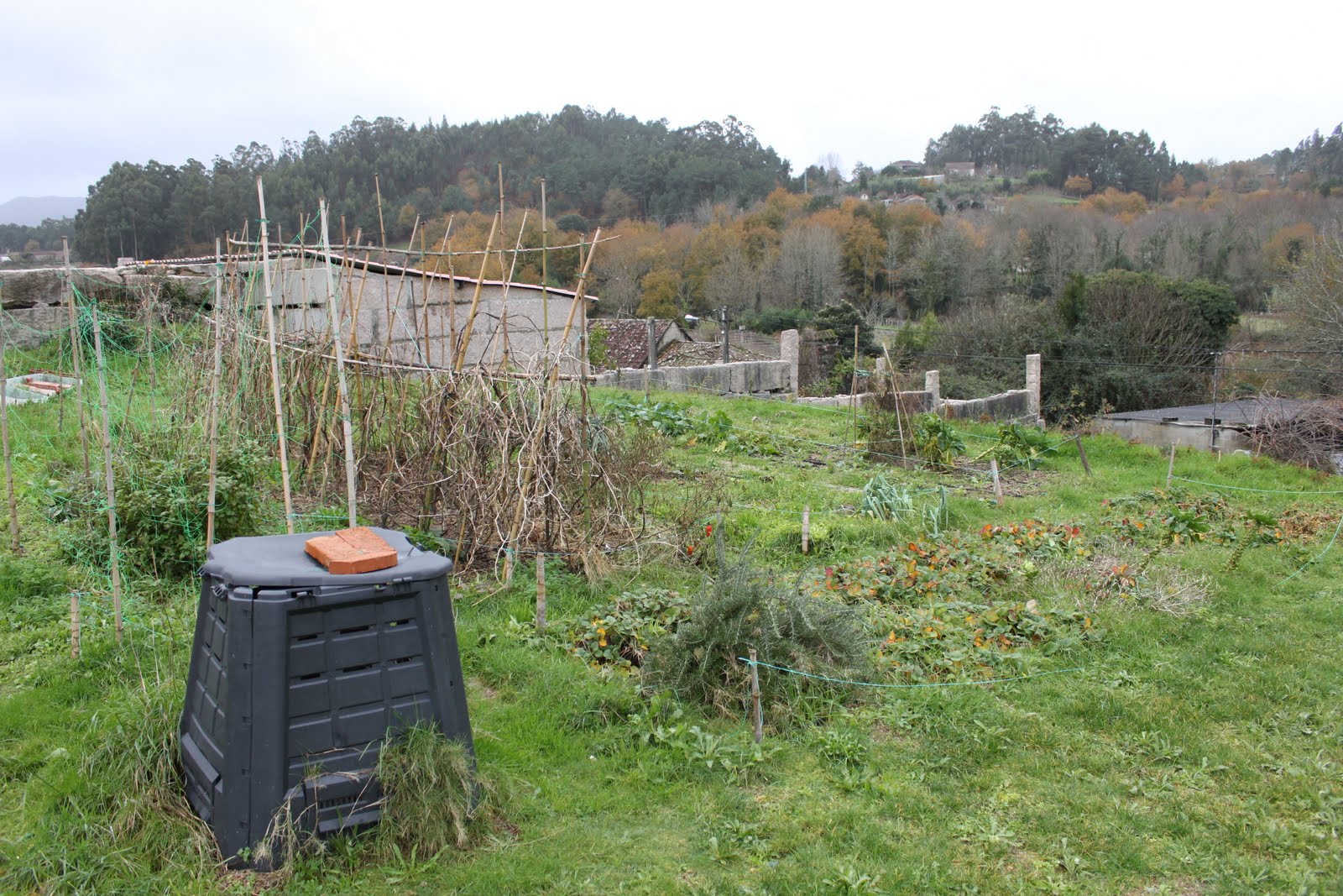 [20091229+007.jpg]