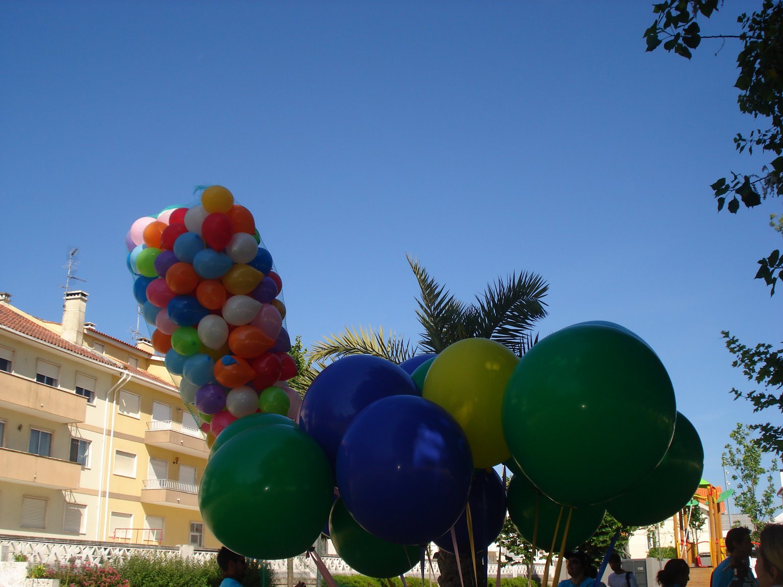 [DSC09801.JPG]