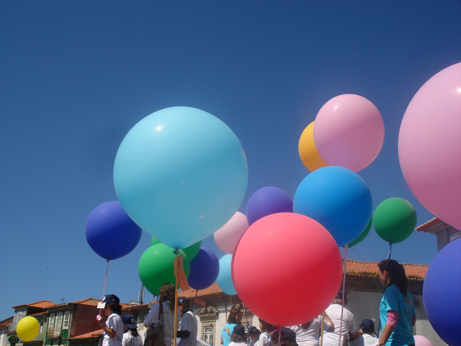 [DSC09850.JPG]