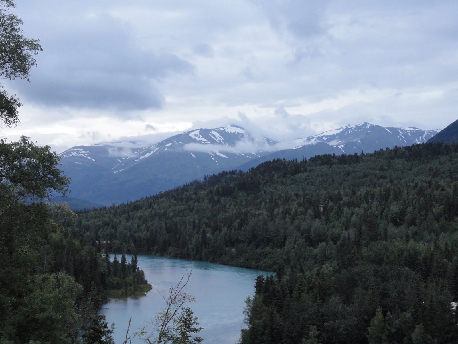 North to Alaska! Anchorage to Cooper Landing and Homer