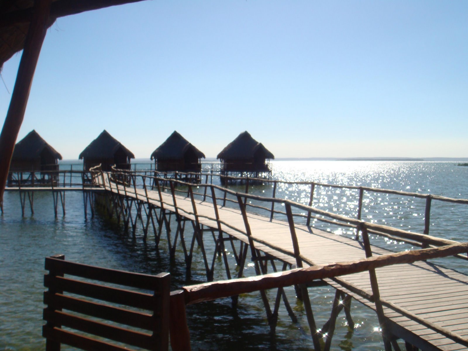 [Flamingo+(135).JPG]