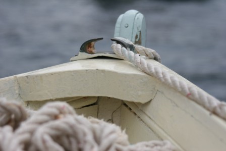 [IMG_2348.JPG]
