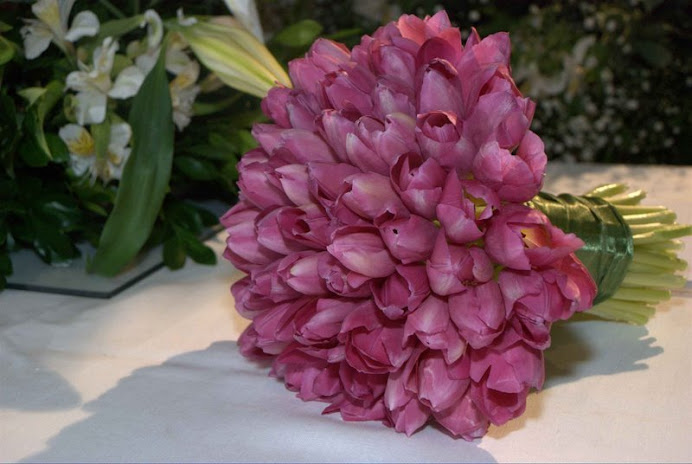 Bouquet de tulipas
