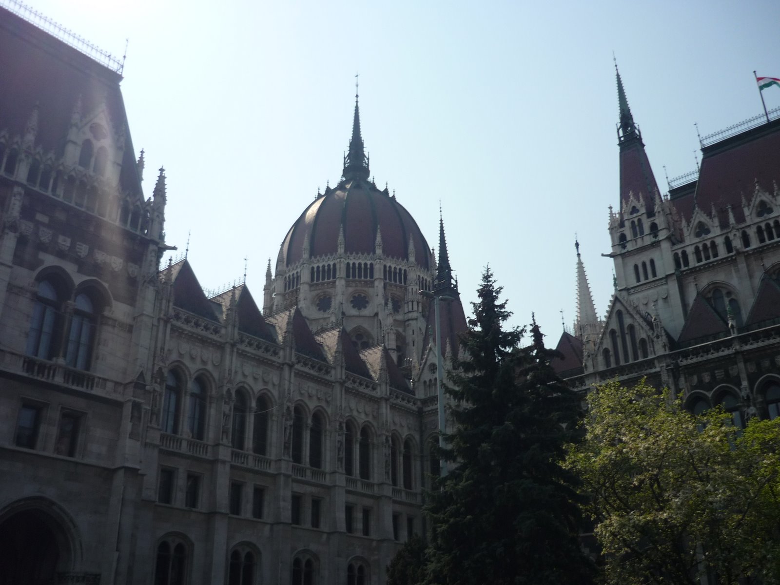 [P1020653.JPG]