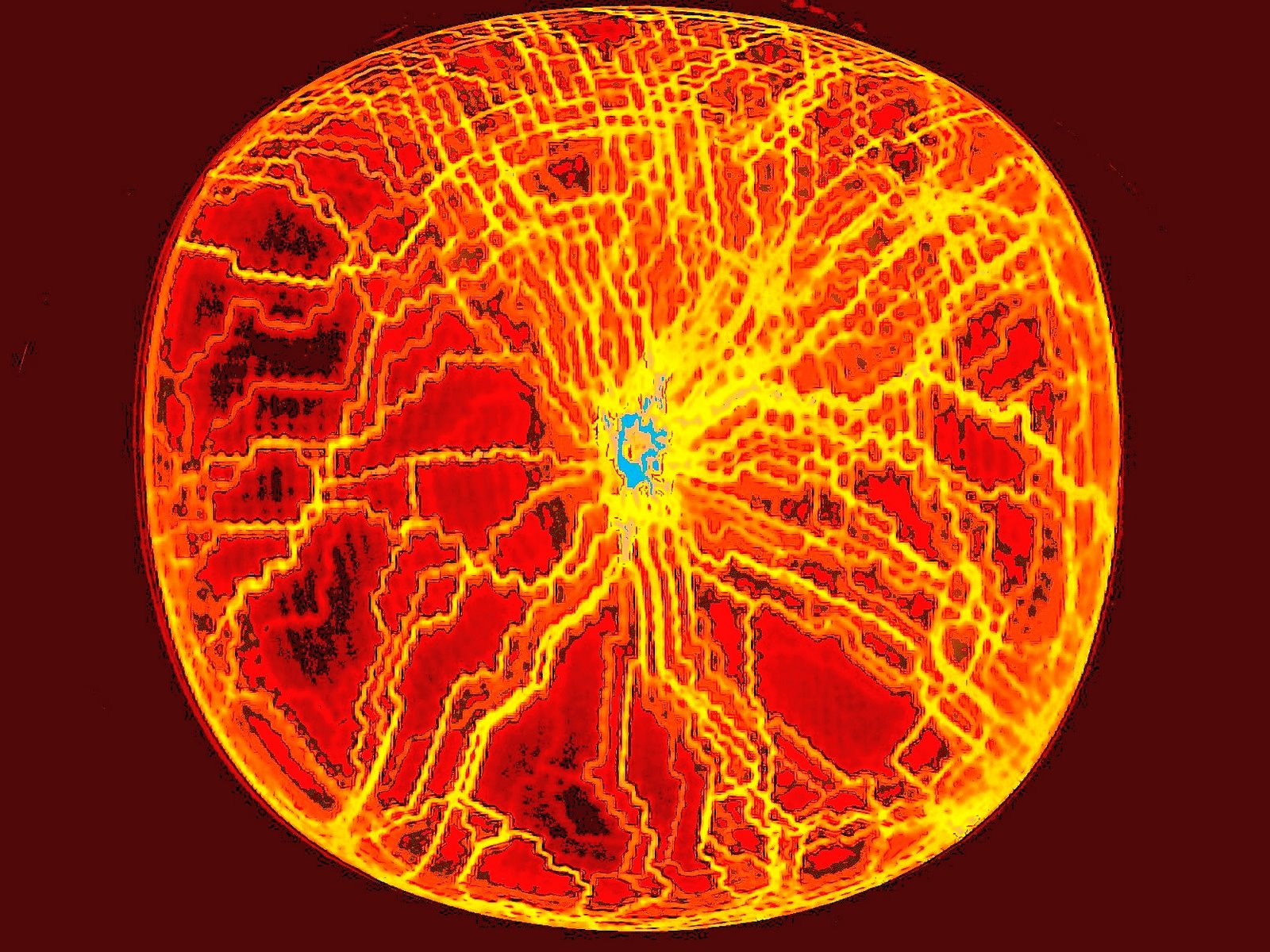 [aaea.jpg]