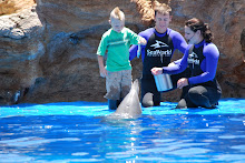 Sea world