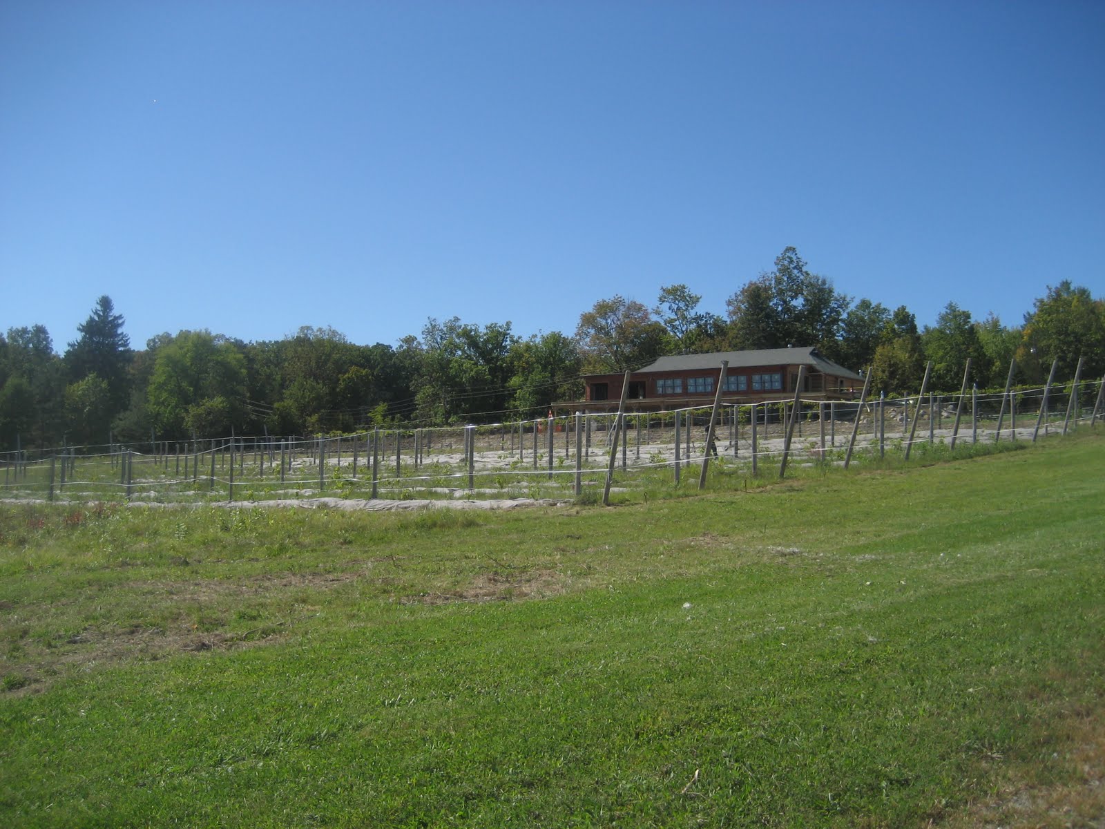 [Birth+of+a+winery+001.jpg]