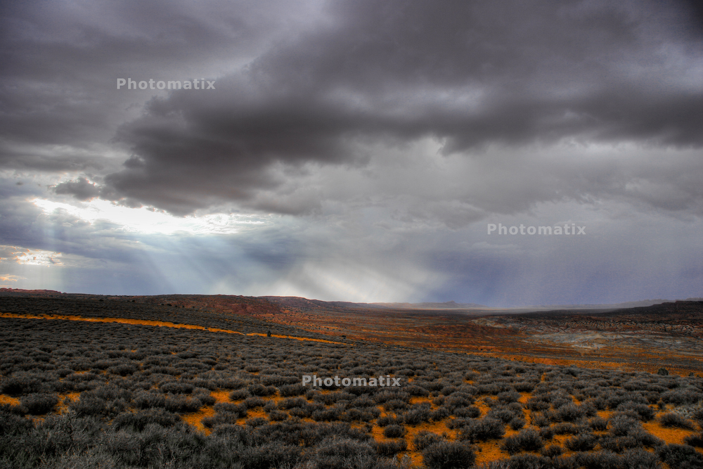 [IMG_6741-2_-3__tonemapped.jpg]