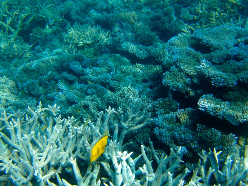 [20070729-DSCF1528.jpg]