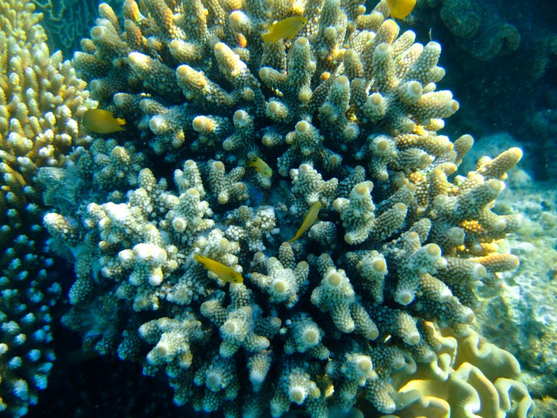 [20070730-DSCF1688.jpg]