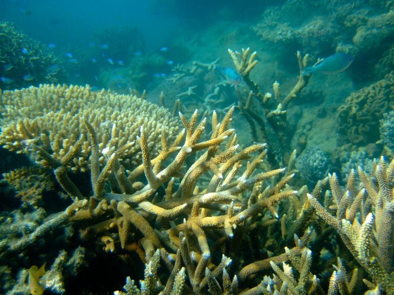 [20070730-DSCF1657.jpg]