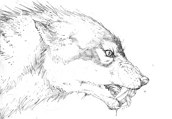 non scary werewolves