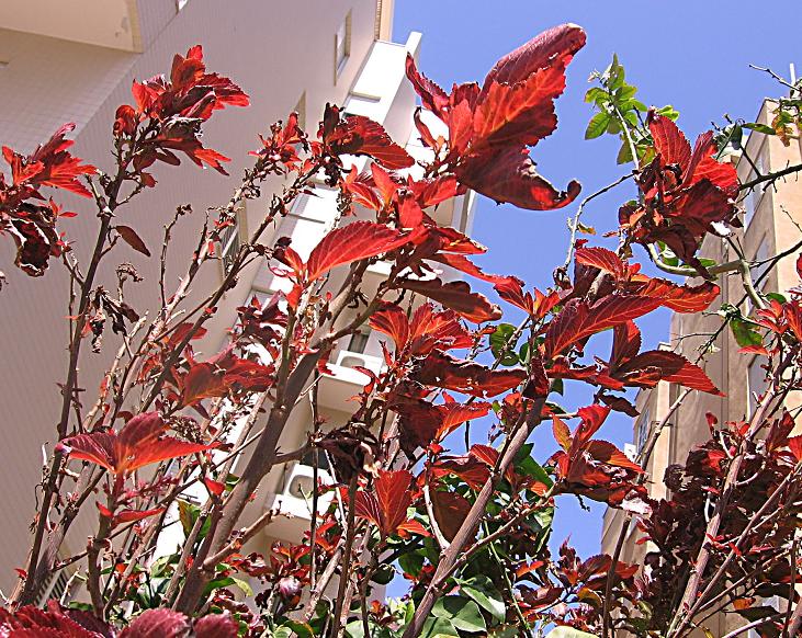 [IMG_7891.JPG]