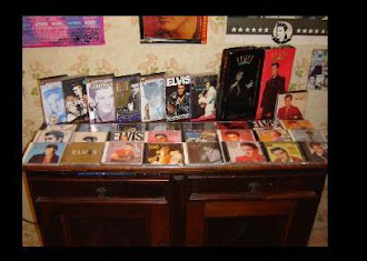 Minha sala de Elvis - 3