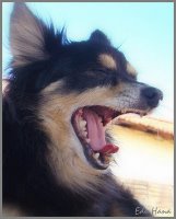 [bocejar.jpg]