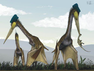 史前風神翼龍 巨型 6500萬年前最大的巨型翼龍一次可不間斷的飛行1萬英里。
