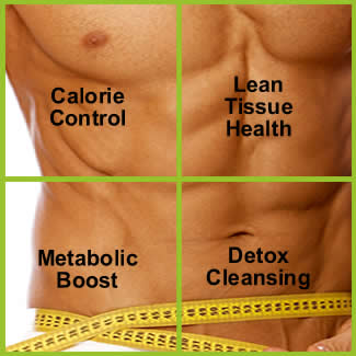 Living Life the Healthy Way-Dump the Junk