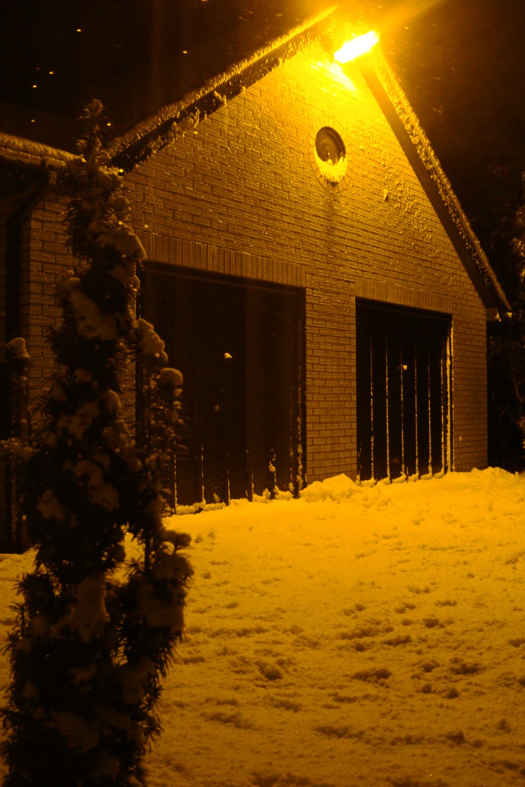 [december+09+006.JPG]