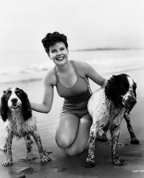 [MarieMcDonaldDogs.jpg]