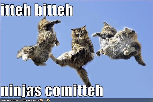 Funny Pics Of Ninjas.