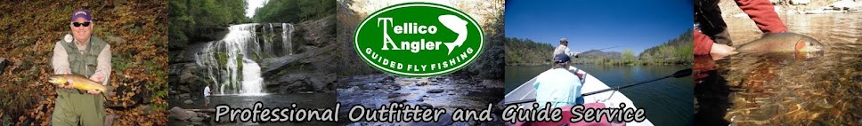 Tellico Angler