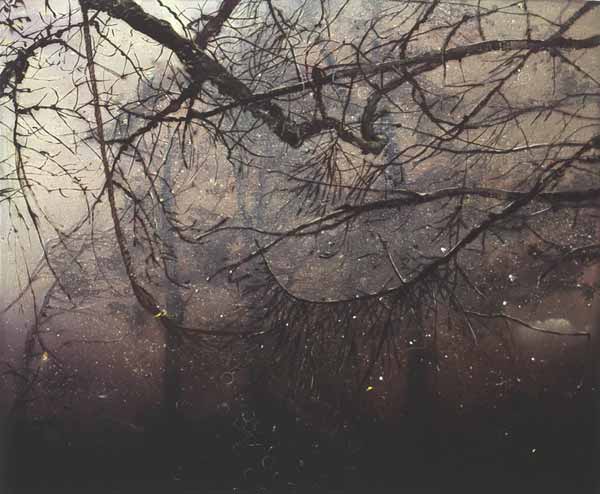 Elizabeth Magill