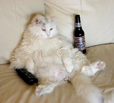 FatCat.jpg