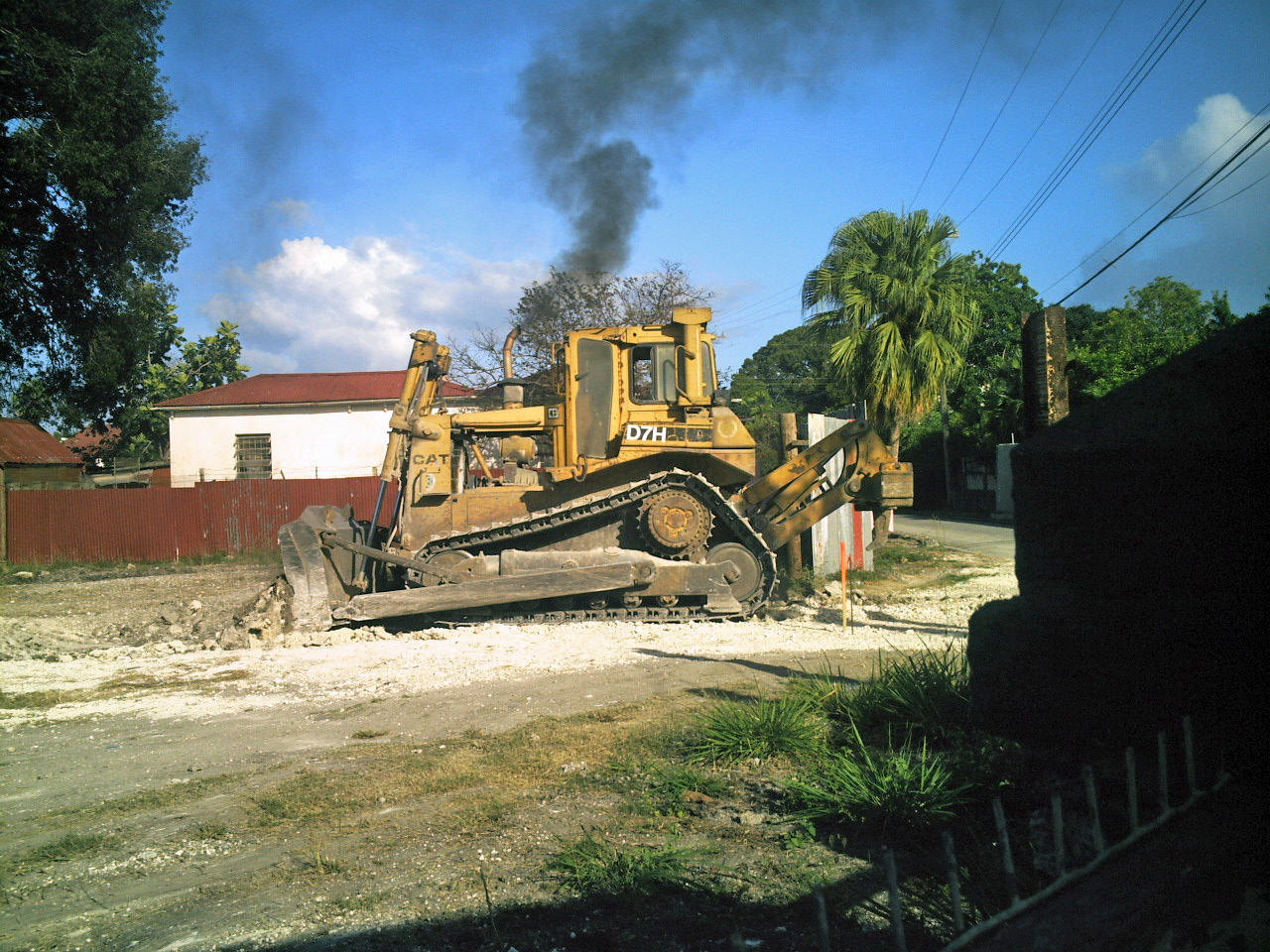 [280207Barbarees_1.JPG]