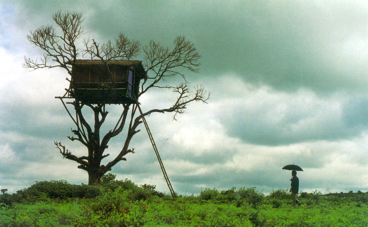 Kerala+tree+house.jpg