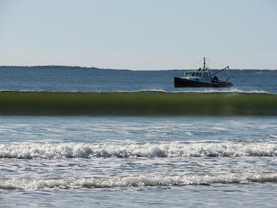 IMAGE: http://1.bp.blogspot.com/_OTkHLONyoXg/SOjKrhR8YPI/AAAAAAAAAC0/TR1FxljzvM4/s400/IMG_0569.JPG