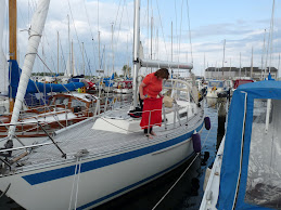 Wentorfer Trocknungsversuch