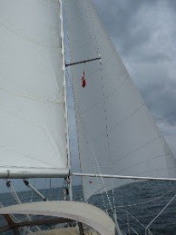 10.8. Adonis will nach Hause