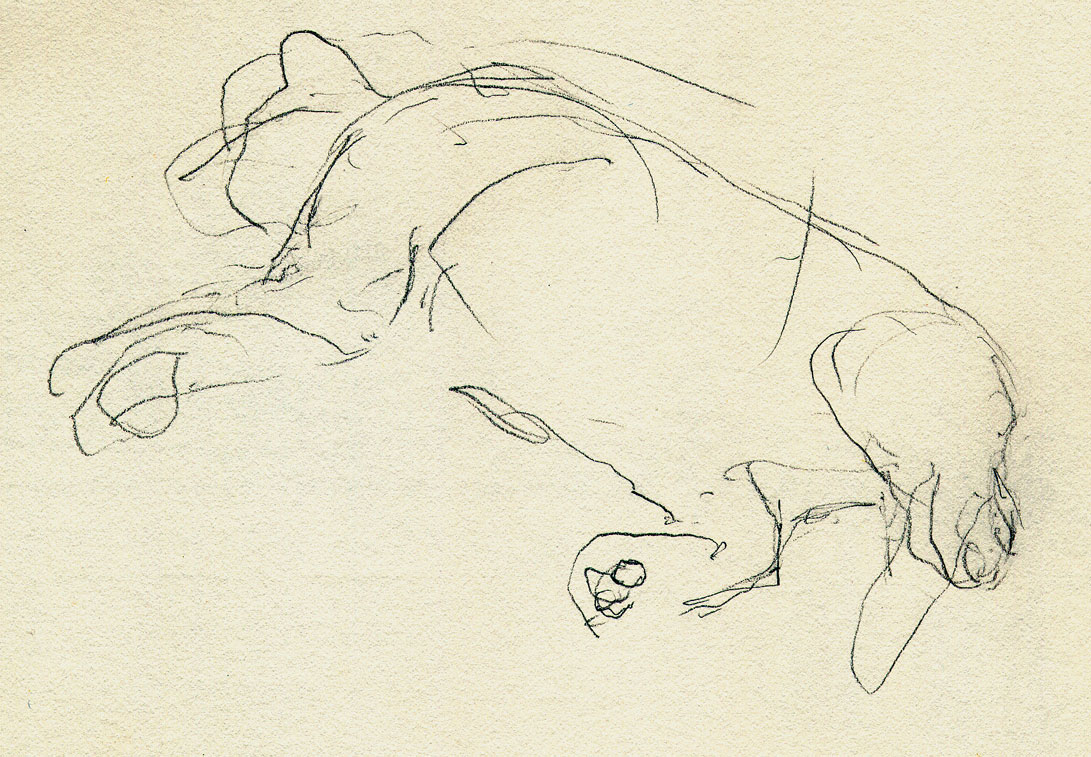 Oodles Of Doodles Rca Secret 2013