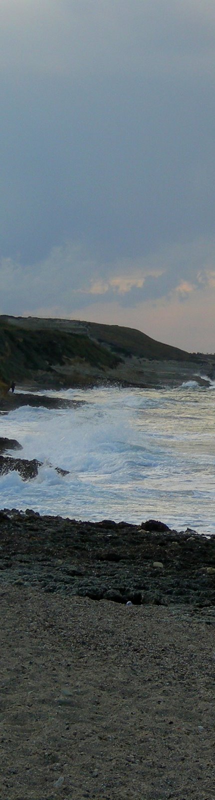 Tagliomare