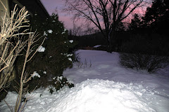 Backyard path