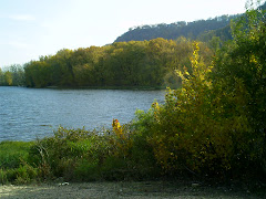 Fall colors start on the Mississippi