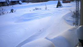 We awoke to snow dunes Dec 2010