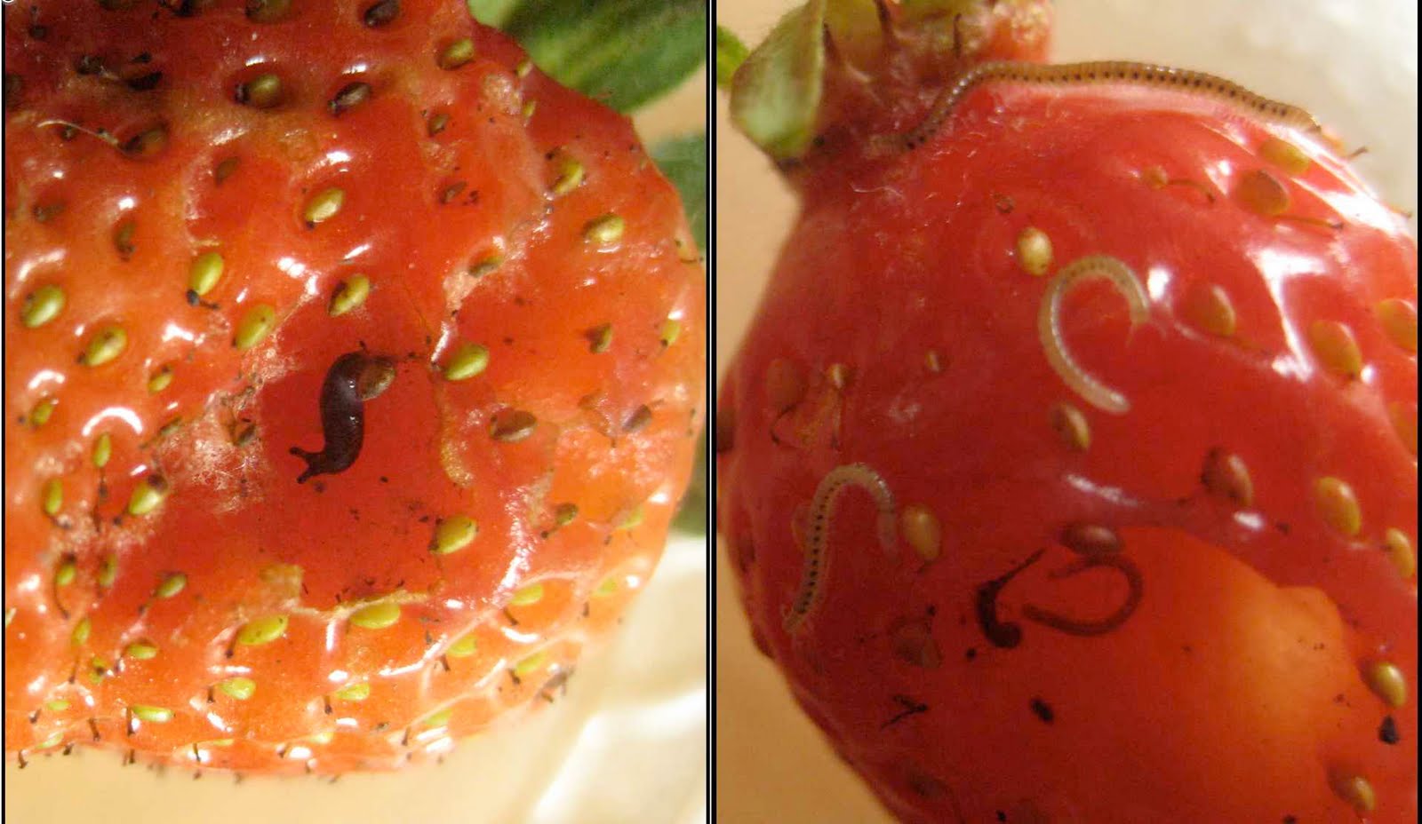 dieta per dimagrire spalle e braccia