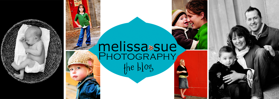 Melissa Sue Photography - Family and Children Utah Photographer