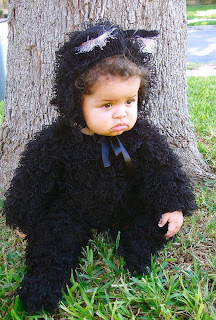 Top Etsy Finds Black Kitty Cat Infant Costume