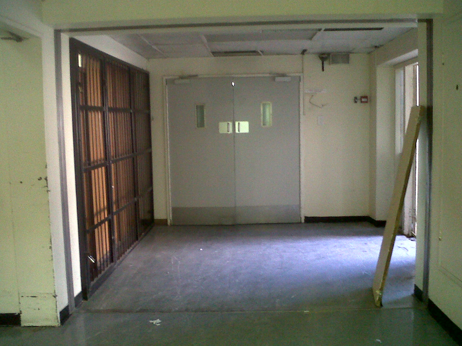 Hope for the flowers to my looney bin...