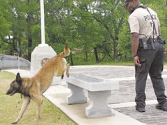 POLICE K-9 JUMPING OVER A VETERAN INSCRIBED BENCH IN HERITAGE PARK!