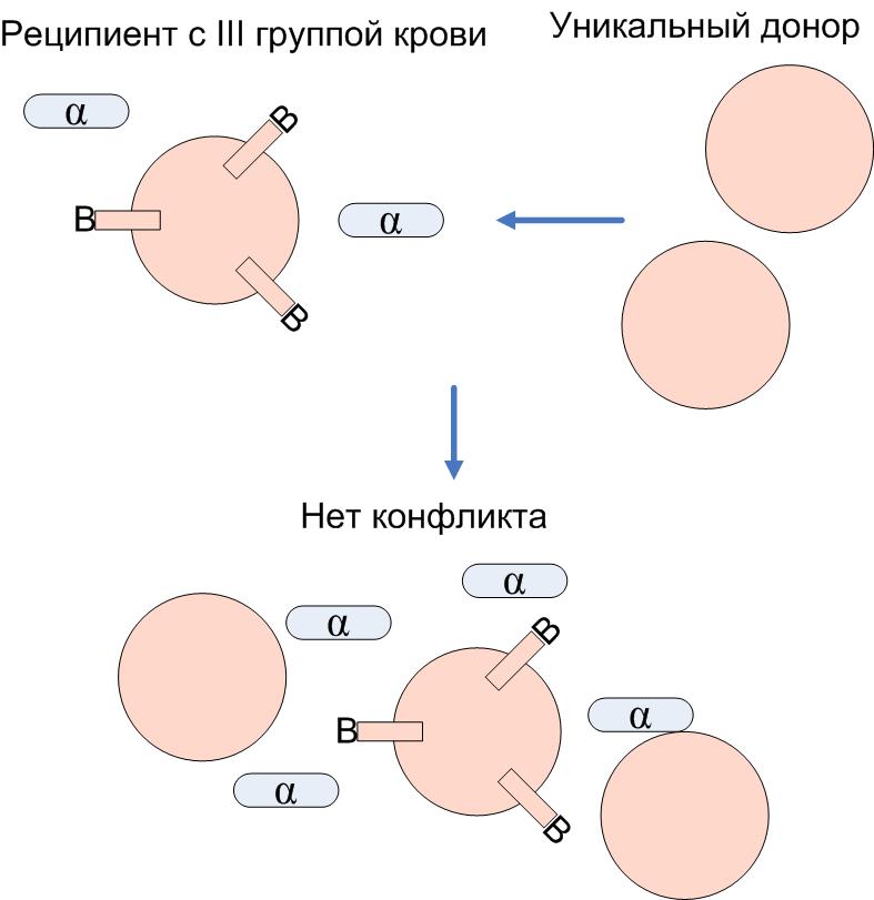 Кровь донора кровь реципиента таблица