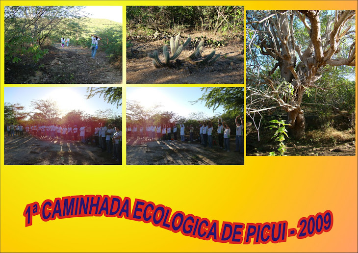 1ª CAMINHADA ECOLOGICA DE PICUI