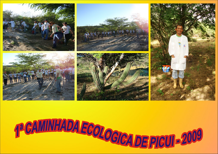 1ª CAMINHADA ECOLOGICA DE PICUI