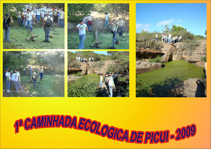 1ª CAMINHADA ECOLOGICA DE PICUI