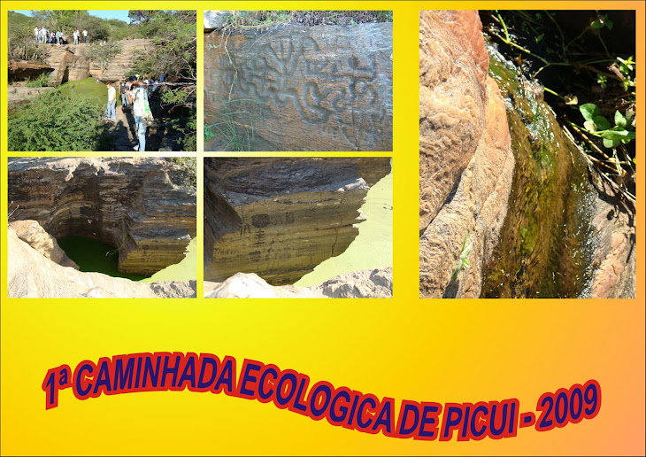 1ª CAMINHADA ECOLOGICA DE PICUI