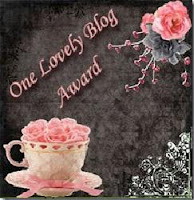 Awards To Masalla Lemonade!
